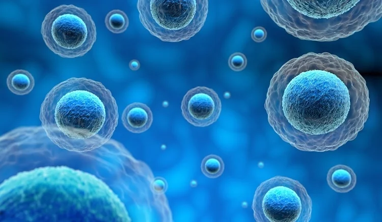 Eksozomlar Nedir?